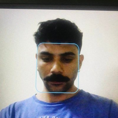 visalcedo's profile picture. 