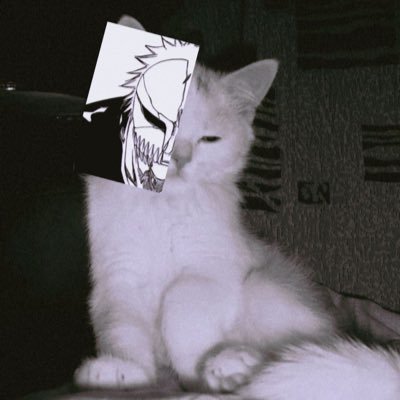 swagmillionn's profile picture. icarus laughed as he fell