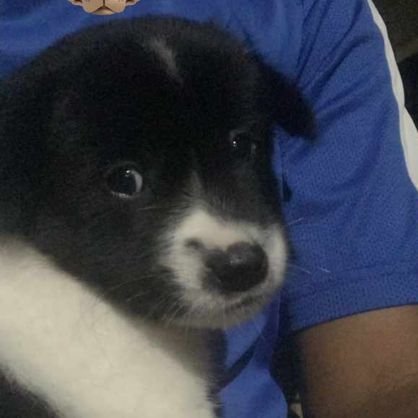 callmejejun's profile picture. *selayaknya manusia saja*