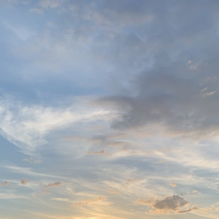 Youmeewe's profile picture. 