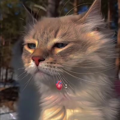 Ashchunks12's profile picture. 