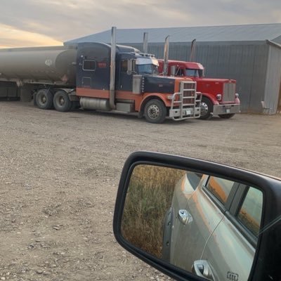 HeldyParkerL's profile picture. feet 👣 lover 🫅, Crypto degen 📊, No bot DMs ❌, 55,