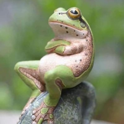 Deechtejansen's profile picture. Rechts. Gelovig Iedereen is vrij op sexueel vlak. Gelooft niet in monogamie. Permanent Friesland ontkenner!!!! het leven is cabaret net als alles wat ik schrijf
