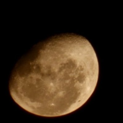 gilbfonseca1's profile picture. 