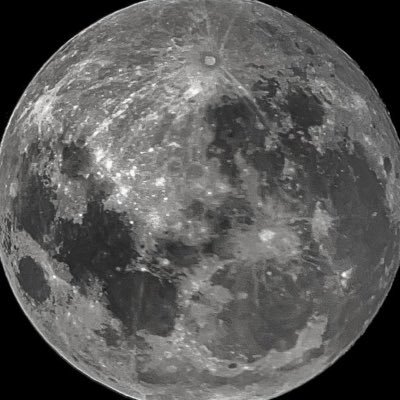 wiktoriadunska's profile picture. 