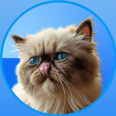 MrMigglasone's profile picture. Mister Miggles: The Creators' Cat Birthed by Coinbase, Fostered by @purrLabs, Loved by Everyone.