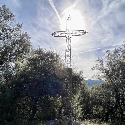 titi_aix's profile picture. « Plus on vit, moins il semble utile d’avoir vécu.» Cioran.