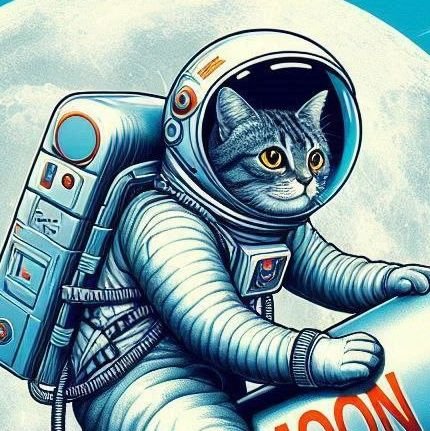outersspacee's profile picture. to a far away place || backup ||