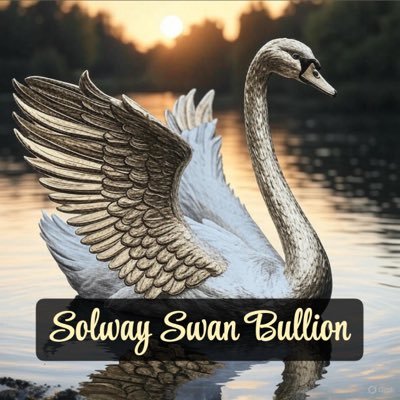SolwaySwanB's profile picture. Gold, Silver & Collectables!  Sole trader based in Scotland 🏴󠁧󠁢󠁳󠁣󠁴󠁿