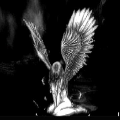 s3pulchr3l1ly's profile picture. 𝔯𝔢𝔰𝔱 𝔦𝔫 𝔭𝔢𝔞𝔠𝔢 𝔦𝔫 𝔥𝔢𝔩𝔩