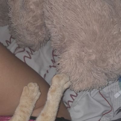 mariana916410's profile picture.