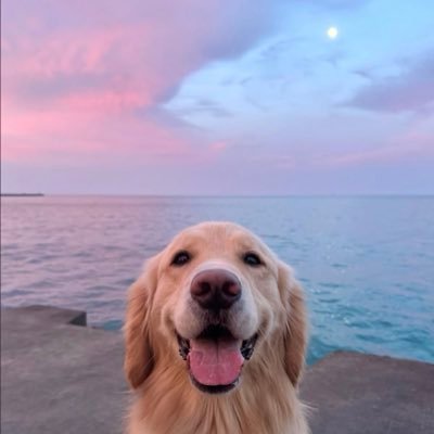 _butterbliss's profile picture. #emiamily