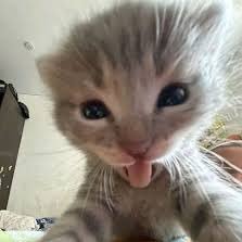 Sasa40_20's profile picture. (L)