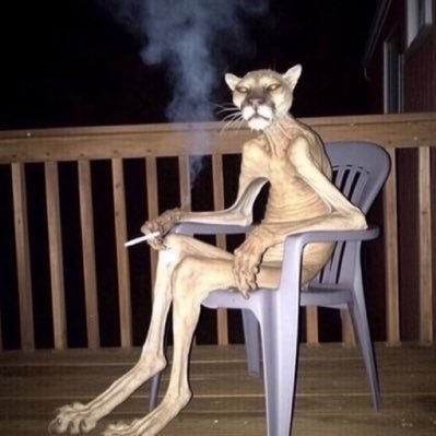 bixwud's profile picture. أنت مدين لنفسك بأن تصبح عظيماً