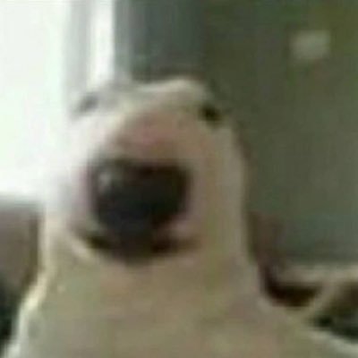 WEBO1x's profile picture. $100