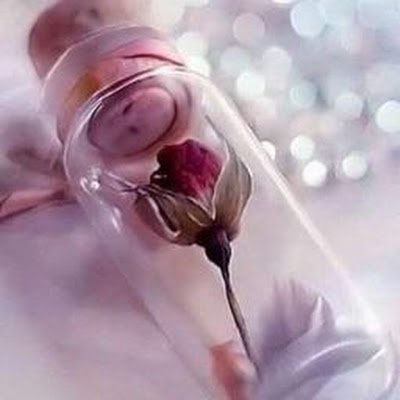 hmst_alhya75663's profile picture. 