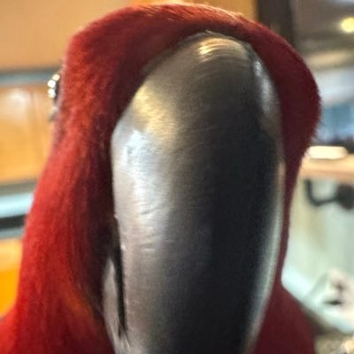 @TheEpcotIbis