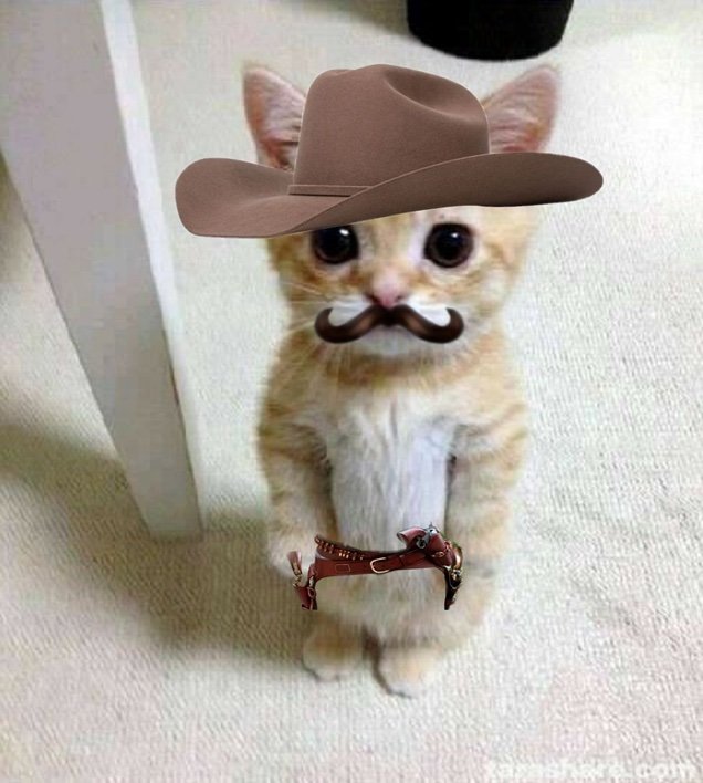 ChrisPlayzzzzz's profile picture. 