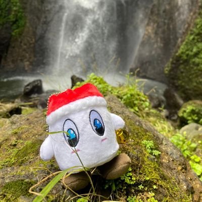 maseshee's profile picture. 