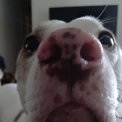 Emzdonlikeu's profile picture. 