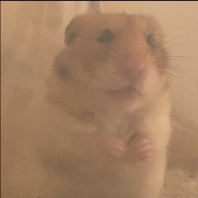 hito0222's profile picture. 家族を護るように石鹸洗剤や三菱レイヨンの浄水器ピュアピュアのシャワー＆蛇口などを使ってます。みんなで笑って過ごせるよう色々と聡りつつ生きられるよう日本に明るい未来を☆