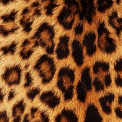 _______matilde's profile picture. 