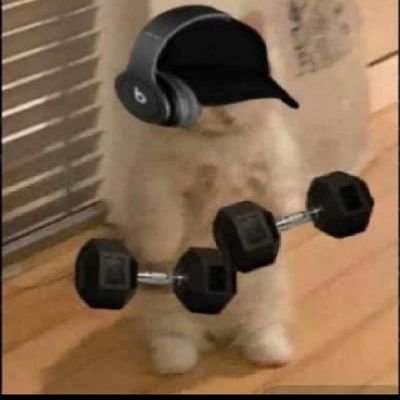 web3visual's profile picture. web3 enthusiast #BTC