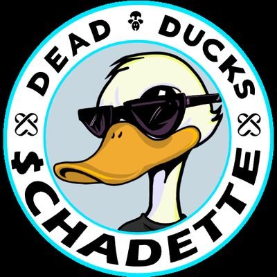 @basedmemetic