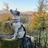 kybell's profile picture. Living with integrity, I still have faith in our📍 nation. Not here to blend in. Proud dog dad🐾🐶, appreciating life’s simple joys.