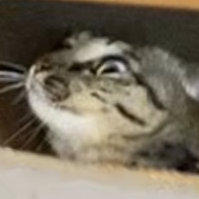 AnimeRaider2020's profile picture. 仮面ライダーが好きでアニメなどもみています！