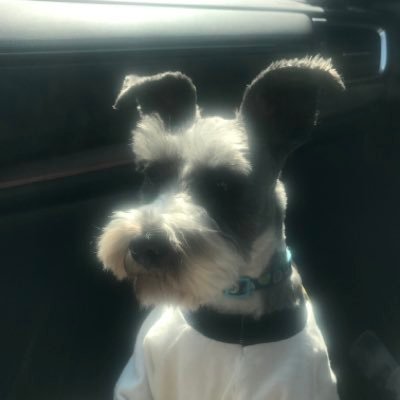camar90557's profile picture. 