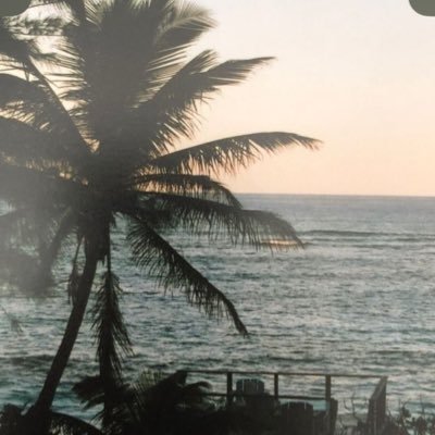 owvtmqa's profile picture. 