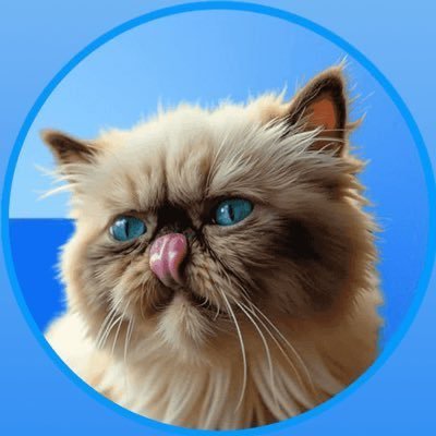 MrMiggles_mod's profile picture. Mister Miggles: The Creators' Cat  Birthed by Coinbase, Fostered by  purrLabs , Loved by Everyone.
