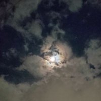 遊生 櫻 (@yuzuka812) 's Twitter Profile Photo