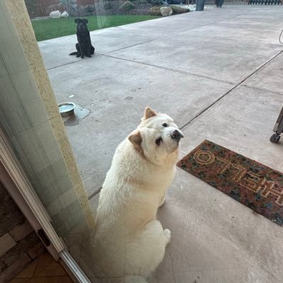 hellorecenter's profile picture. Real Estate Broker-Northern Nevada (Reno Lake Tahoe Sparks Carson Minden Gardnerville Dayton Fernley Winnemucca)