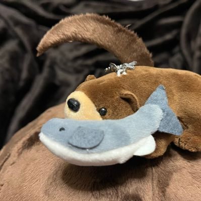 しゃけ🐟ふぶしぐ提督さんのプロフィール画像