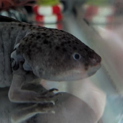 jura20251017's profile picture. 