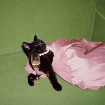 mikaminworld's profile picture. 映像/演劇 Instagram→https://t.co/1EoRTr5hNh