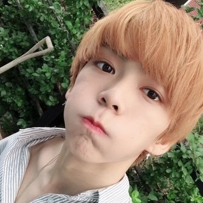 banpojive's profile picture. ❀ my universe — #VERIVERY ❀ Jelly's Verrer Wife :¨ ·.· ¨: