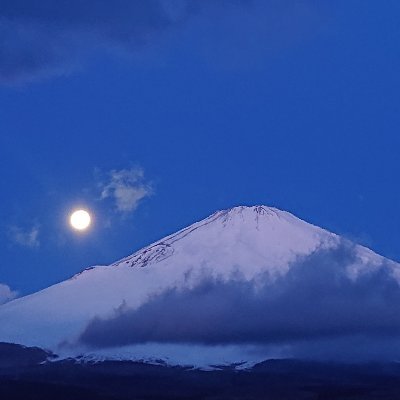 dekohiloshi_a's profile picture. 推しに富士山の写真を送るだけかと思いきや、何かしら送りつけるだけのJKです。嘘です、おっさんです。
プロのクソマロ職人