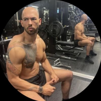 TateNews500's profile picture. The one and only Reliable NEWS source for Andrew Tate and Tristan Tate | NOT IMPERSONATING @cobratate | FAN account. | PARODY | COMMENTARY 1@weekdays |@Stake