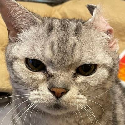 5ZwxYdDcXT19633's profile picture. 