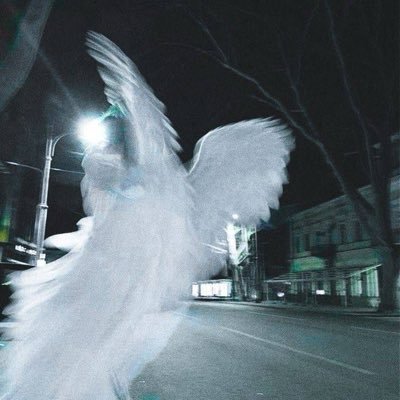 spexfym's profile picture. 