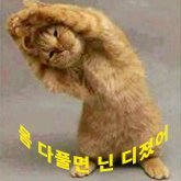 doldosa2's profile picture. 새미래...