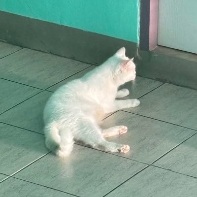 FPhinisa45540's profile picture. 