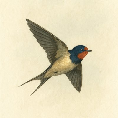 MigrationSouth's profile picture. He’s here for all the others, and she just observes.