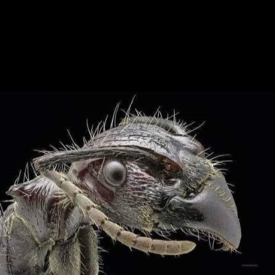 ni_er83066's profile picture. 