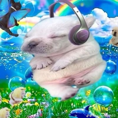 Lizcotina's profile picture. oque ainda me resta.