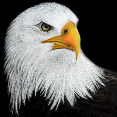 zeroxnode's profile picture. 时间是最宝贵的资产,懂得等待,懂得出击,耐心铸就财富。