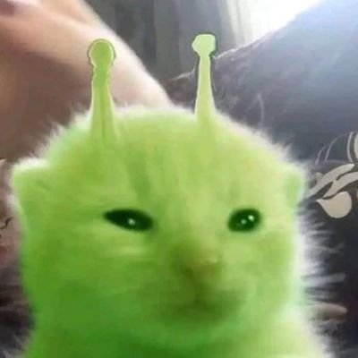 Samukreus's profile picture. Samukreus All Along 🔮🌟